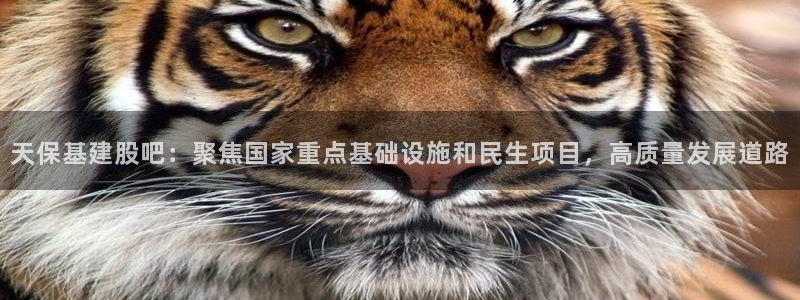 娱乐风暴2